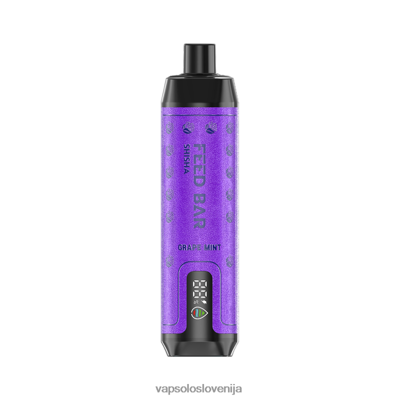 VapSolo SHISHA vape za enkratno uporabo | Vapsolo Review PFFBJ26 grozdna meta